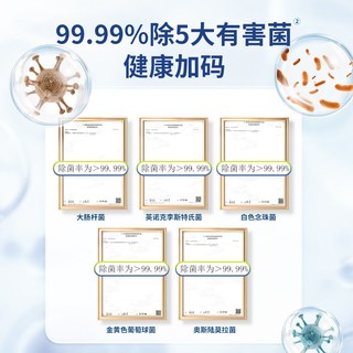 立白奇易洁多用途清洁喷雾300ml/高效瓦解污渍免水洗温和除菌99.9