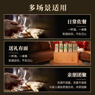 五粮液 四海春金装小金条 52度浓香型白酒 50ml*5瓶