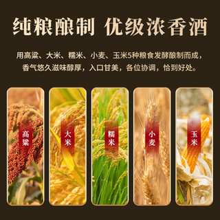 五粮液 四海春金装小金条 52度浓香型白酒 50ml*5瓶