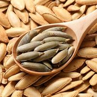 憨豆熊美人甲南瓜子505g袋装新货椒盐味南瓜籽坚果炒货休闲零食