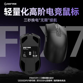 HELLO GANSS 轻量化 无线鼠标  黑色