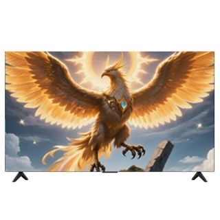 今日必买：雷鸟 电视 75鹤6 Ultra 25款 75英寸QD-MiniLED数百级分区高阶VA屏4+64G内存