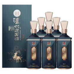 泸州老窖 浓香型白酒 500ml*2瓶
