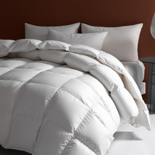 今日必买：兰芮 80支全棉贡缎80%白鹅绒加厚保暖羽绒被 220*240cm