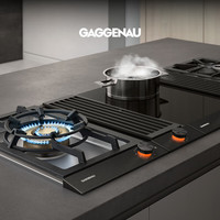 GAGGENAU JZT-VG231220CN 嵌入式单眼燃气灶 天然气