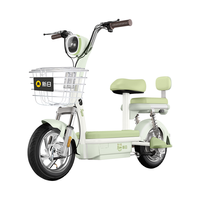 新日（Sunra）电动自行车 2026新国标小乐果京东自营电动车电动自行车长续航69km成人电瓶车家用代步车绿