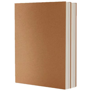 唐棠良品 A5牛皮笔记本 256页 横线+空白 任选一