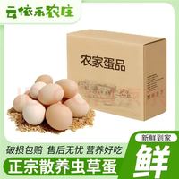 云依禾农庄 新鲜现捡虫草土鸡蛋 单枚约40g 12枚