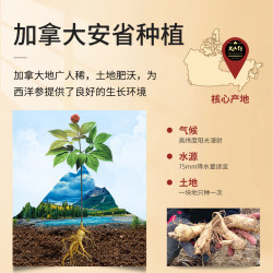 大山行 加拿大进口西洋参原支礼盒礼物特大整枝送父母老年人营养健康心意 加拿大西洋参 89长支