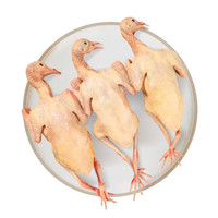 岽鲜 乳鸽生鲜 鸽子3只（每只净400g）