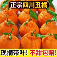 百亿补贴：夏小农业 四川丑橘不知火 4.5斤 单果70mm起