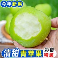百亿补贴：御品一园 陕西青苹果 5斤70mm起