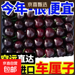 智利进口车厘子XL-4J 100g 新鲜大果