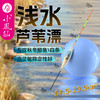 小凤仙枣核型芦苇浅水漂鲫鱼漂短漂醒目加粗水皮草洞冬钓高灵敏轻口浮漂 3-1 浅水长杆鲫鲤鳊 吃铅:2.4g 芦苇漂