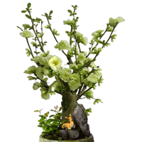 沭之美绿宝石海棠树苗盆景花卉 绿宝石海棠地径3-3.5cm 不含盆 源头直发