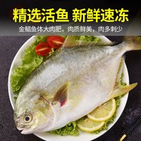 金鲳鱼新鲜冷冻特大鲳鳊鱼金昌鱼海鱼鲜活海鲜平鱼白鲳冰鲜银鲳鱼