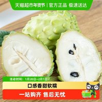 88VIP：鲜蜂队 云南释迦果 1500g 散装