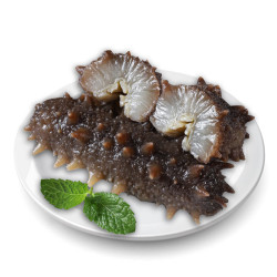 颐口福 即食海参500g