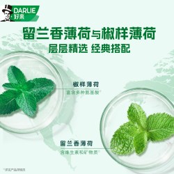 好来 原黑人双重薄荷牙膏清新口气成人抗口气