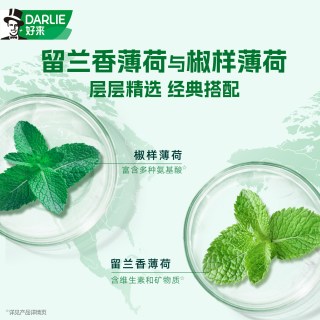 DARLIE好来原黑人双重薄荷牙膏清新口气成人抗口气