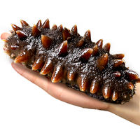 缤鲜 鲜 即食海参 大连海参深海鲜活辽刺参新鲜开袋即食500g海参干货礼盒 即食海参1斤