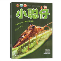 小聪仔科普版 25年7月-25年12月订阅分月 物流信息可见
