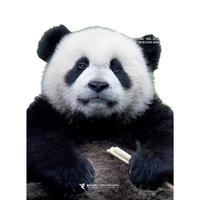 小聪仔 2025年第1期 科普版