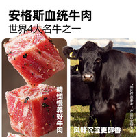 大希地 煎焗烤炖 都好吃：13种纯肉冷冻食材任选6件 无需腌制 囤1次吃爽
