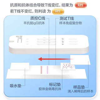 可孚发）甲型乙型肺支原体检测甲乙流试纸流感病毒肺炎支原体检测 【独立装2人份】甲乙型流感检测