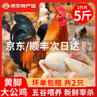 移动端、京东百亿补贴：岽鲜 农家散养土公鸡肉新鲜青脚黄鸡黑凤大公鸡土鸡走地鸡整鸡鸡肉生鲜 黄脚大公鸡发2只 （净重共5斤）