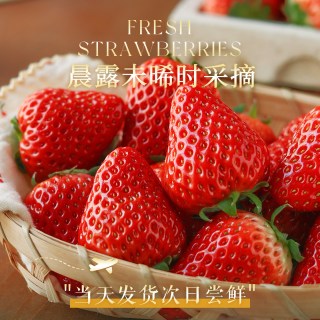 红颜奶油草莓99红颜牛奶大奶油新鲜水果礼盒当季整箱 1000g 【莓好礼盒 】（单果30g+）