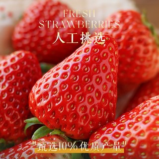 红颜奶油草莓99红颜牛奶大奶油新鲜水果礼盒当季整箱 1000g 【莓好礼盒 】（单果30g+）