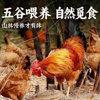 岽鲜 黄脚大公鸡 2.5kg 箱装 生鲜鸡肉