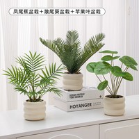 仿真绿植小型盆栽发财树高级感室内办公桌面客厅茶几假花花艺摆设