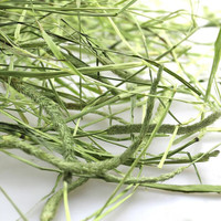 赫尔达提摩西草 南提 菊苣 兔子龙猫天竺鼠荷兰猪牧草  晒干提摩西草500g