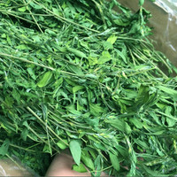 赫尔达提摩西草 南提 菊苣 兔子龙猫天竺鼠荷兰猪牧草  烘干紫花苜蓿草800g