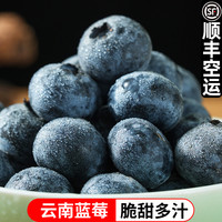 移动专享、移动端：鲜蜂队 云南新鲜蓝莓 1000g 单果18mm+