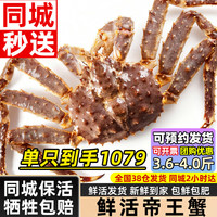 海仙津 俄罗斯鲜活帝王蟹礼盒 3.6-4.0斤/只