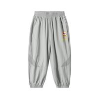 汪汪队立大功汪汪队儿童夏季休闲长裤宝宝中小男孩2024女童夏装运动裤帅气 冰川灰 105CM