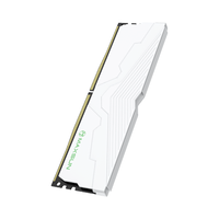 MAXSUN/铭瑄 马甲条 台式机内存条 8GB
