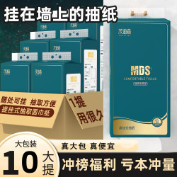 茂迪森 Maudison 茂迪森 悬挂式抽纸 1层360抽1包(175*120mm)