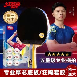 红双喜 专业乒乓球拍狂飚3套胶5层厚芯五星级横直拍