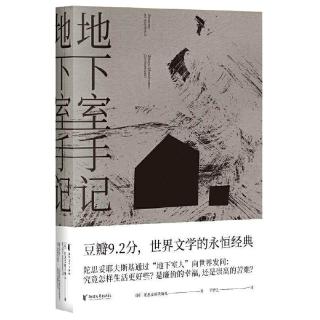地下室手记 陀思妥耶夫斯基 罗翔老师高口碑文 荣登豆瓣年度读书经典类榜单 俄国文学 世界文学经典名