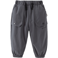 戴维贝拉（DAVE＆BELLA）2024冬装防水男童长裤儿童工装裤加绒男宝宝裤子小童休闲裤 深灰色 100cm（身高90-100cm）