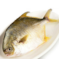 京鲜生 冷冻金鲳鱼2条共800g 鲳鱼海鲜水产