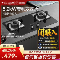 万和 一级能效蓝莲花燃气灶5.2kW多重安全防护JZT-B9L50