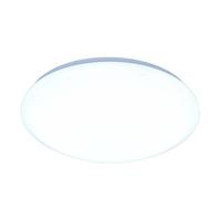 祎琳 吸顶灯LED超亮家用客厅卧室厨房灯具圆形楼梯阳台简约面包灯灯具 12瓦20CM白