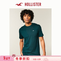 HOLLISTER 男士短袖T恤 324-5587