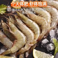  渔游记 鲜活速冻 厄瓜多尔白虾