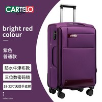 牛津布行李箱男大容量旅行箱轻便静音万向轮密码箱拉杆箱女登机箱 紫色 20寸【适合3天内出行】